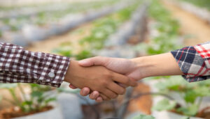 Invertir en productos Agrícolas