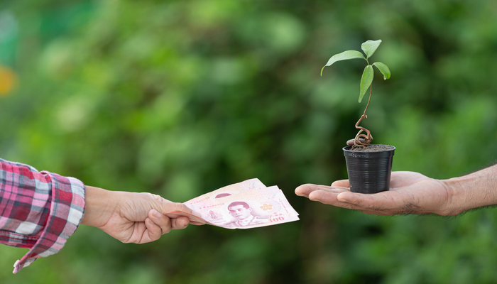 Préstamos para Conservación del Medio Ambiente